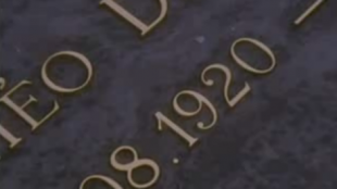 pvdlionel